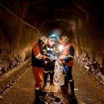 factibilidad-de-palma-lista-para-la-segunda-mitad-del-2019